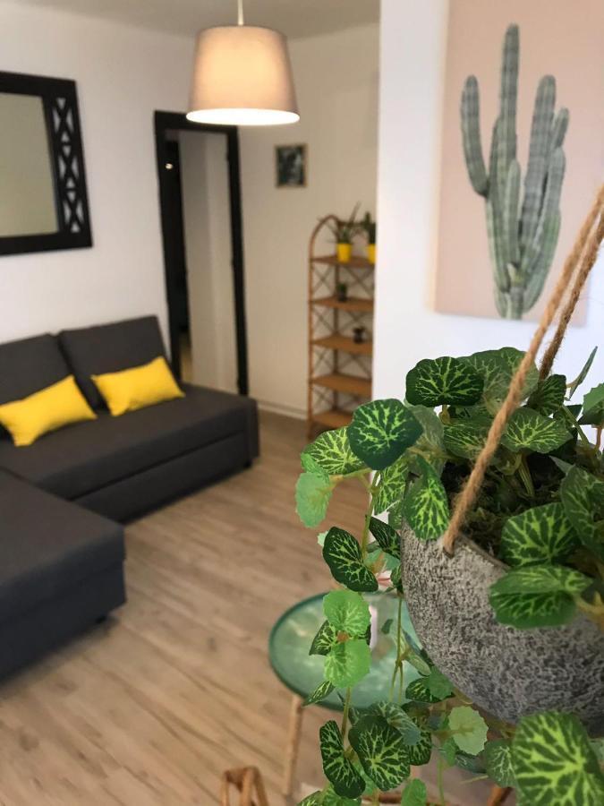 Cactus 2 Bedroom Apartment On Calle San Miguel Minutes From The Beach By Namaste Elite 토레몰리노스 외부 사진